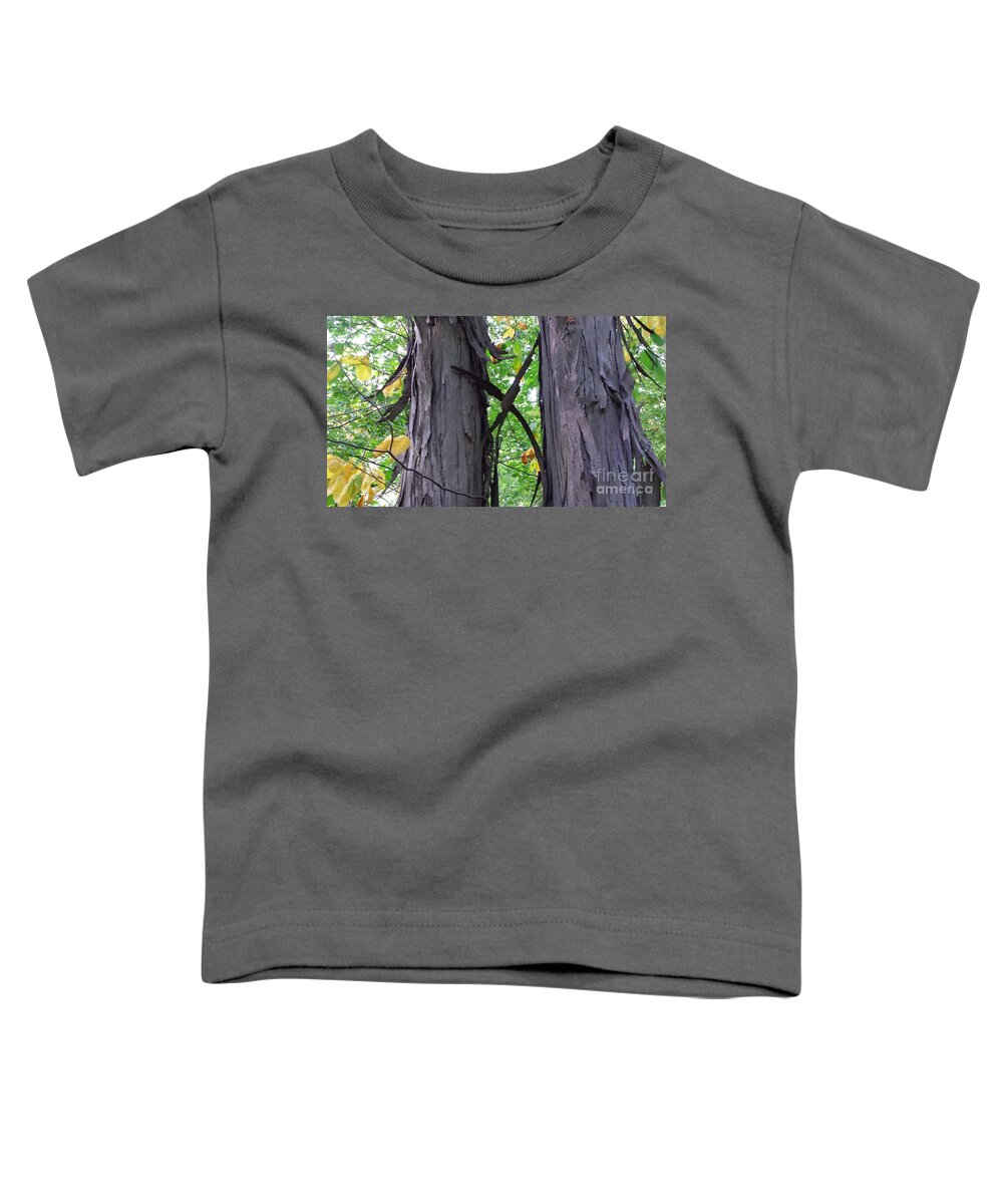 Shagbark Hickory X Toddler T-Shirt featuring the photograph Shagbark Hickory X by Paddy Shaffer