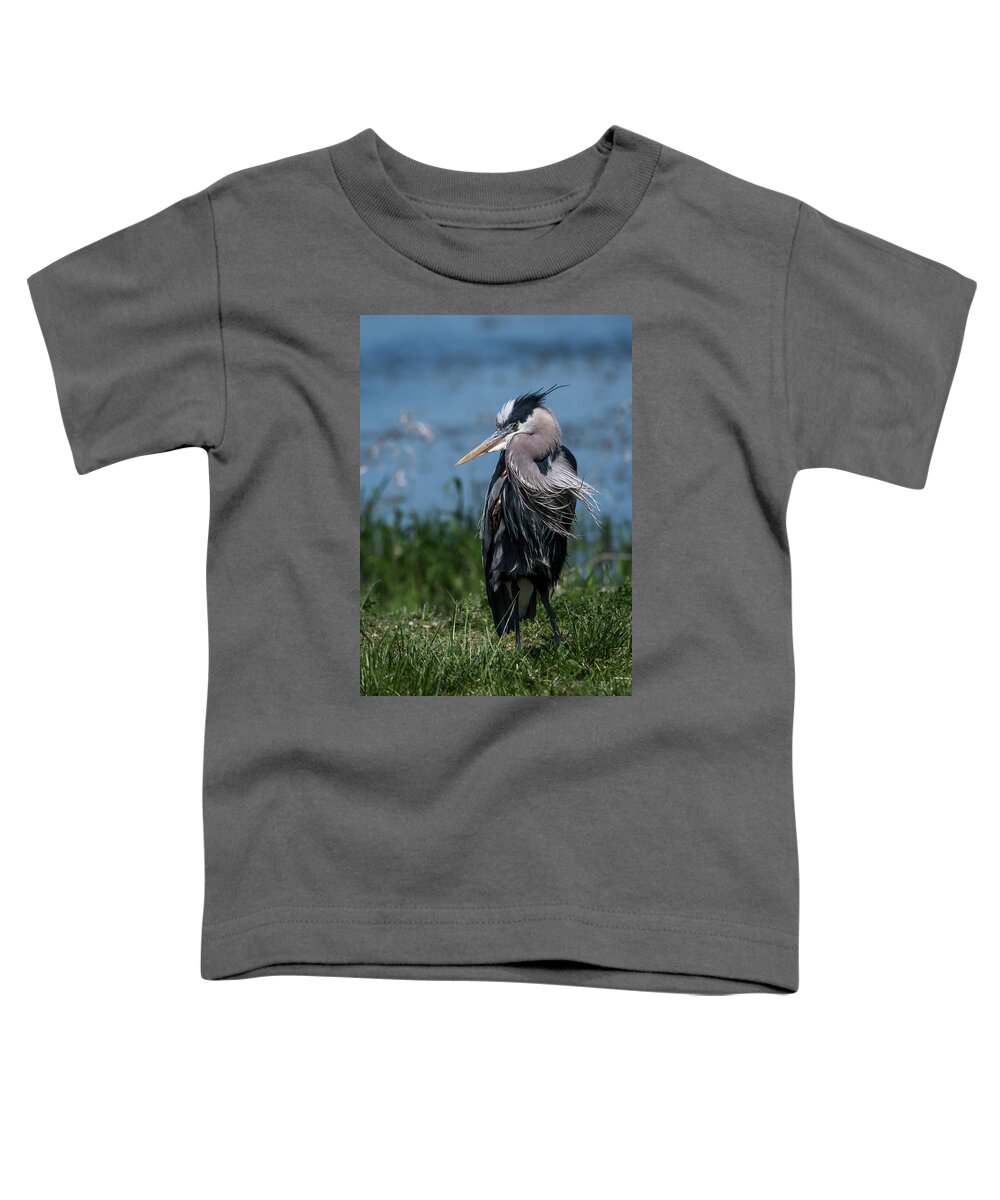 Animals Toddler T-Shirt featuring the photograph Shaggy Mane by Robert Potts