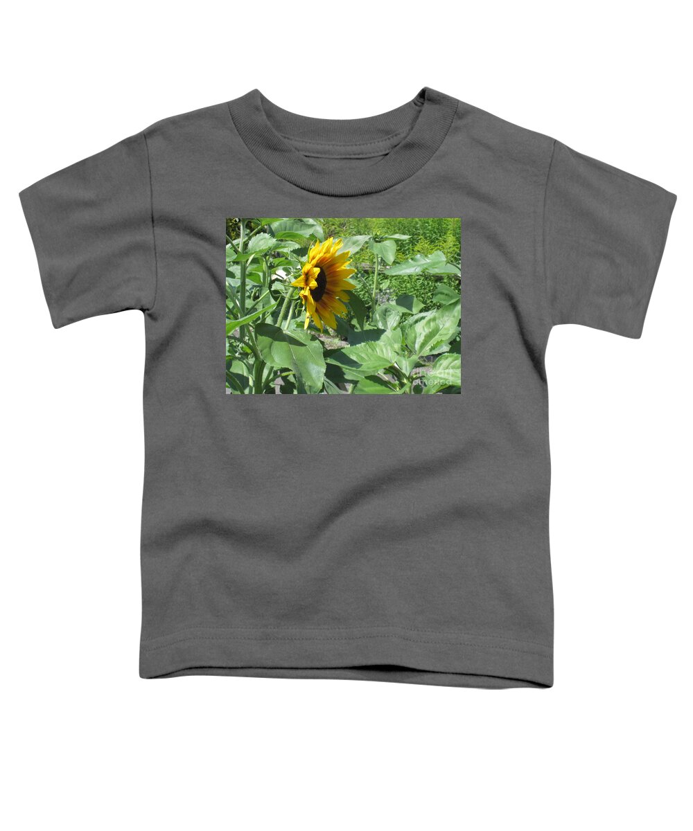 Sunflower Toddler T-Shirt featuring the photograph Shy Sunflower by Brandy Woods