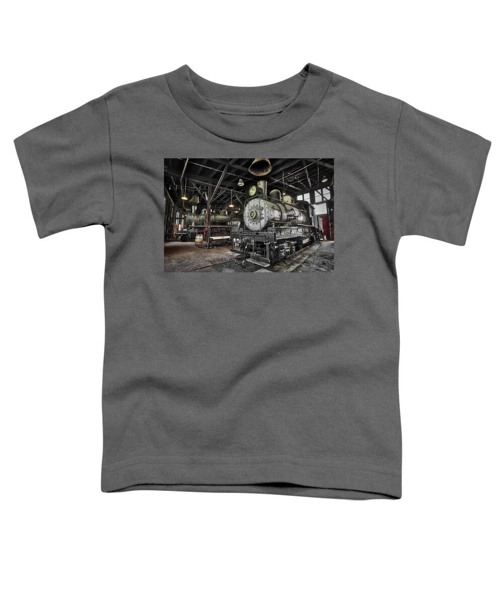 3-truck Toddler T-Shirt featuring the photograph Sierra No. 2 1 by Jim Thompson