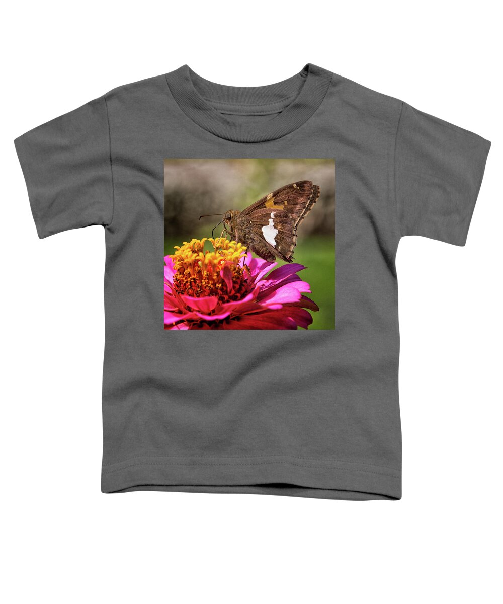 7 Ponds Toddler T-Shirt featuring the photograph Silver Spotted Skipper by Winnie Chrzanowski