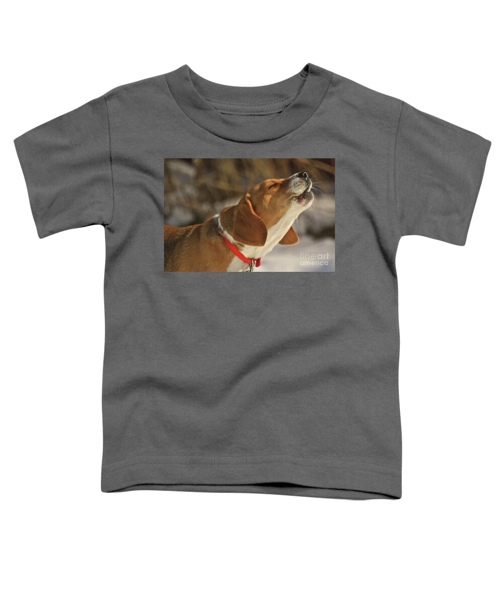 Dog Toddler T-Shirt featuring the photograph Singing In The Sun by Robert Pearson