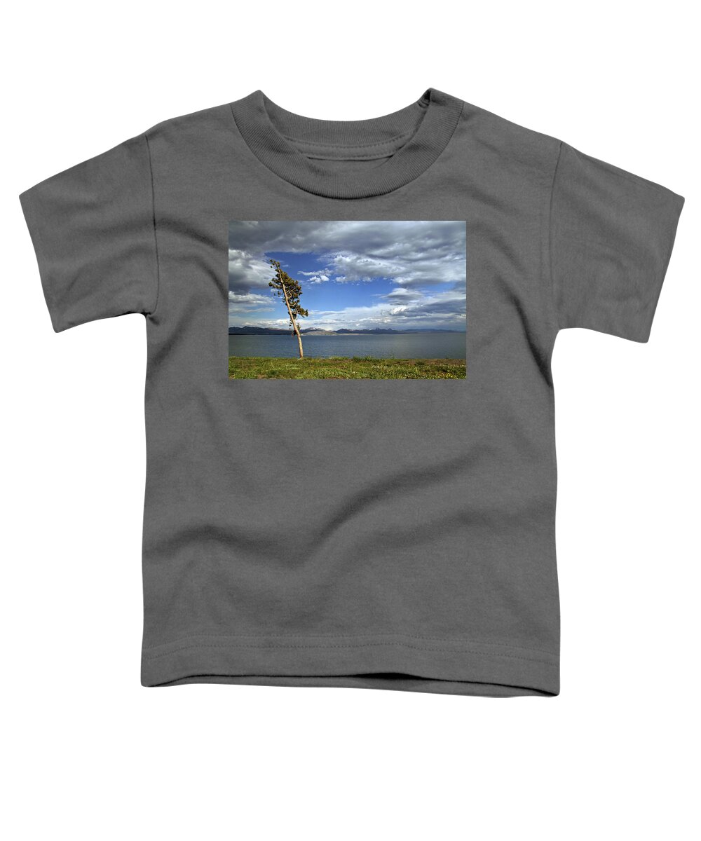 Tree Toddler T-Shirt featuring the photograph Single tree - 365-359 by Inge Riis McDonald