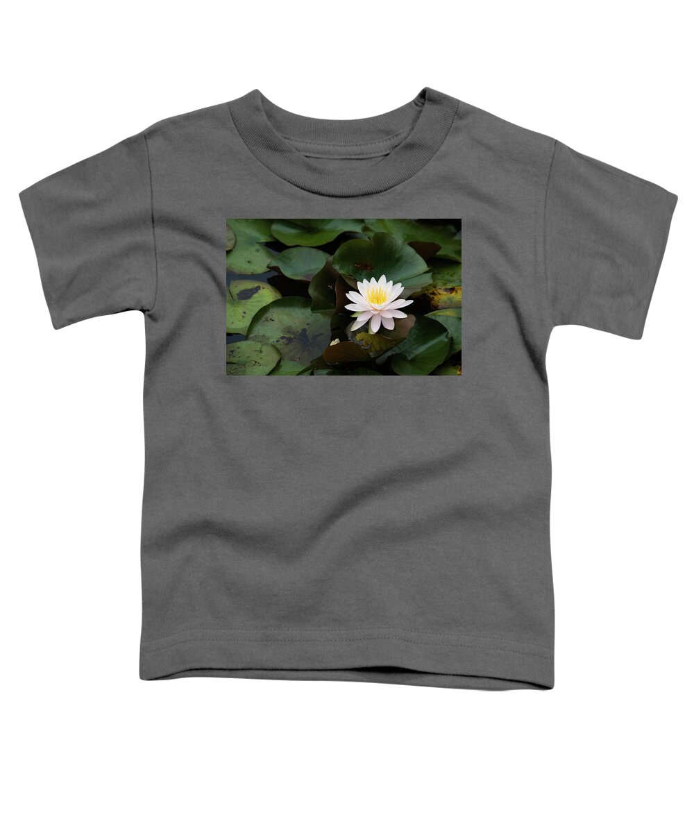 Bloom Toddler T-Shirt featuring the photograph Single White Pristine Lotus Lily by Dennis Dame