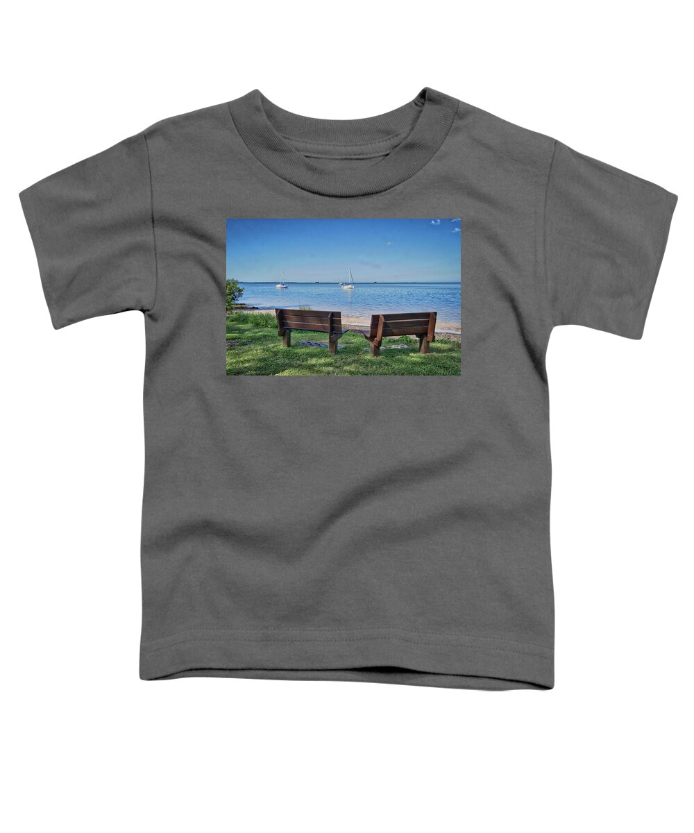 Aurorahdr 2017 Toddler T-Shirt featuring the photograph Sit and relax by Jane Luxton