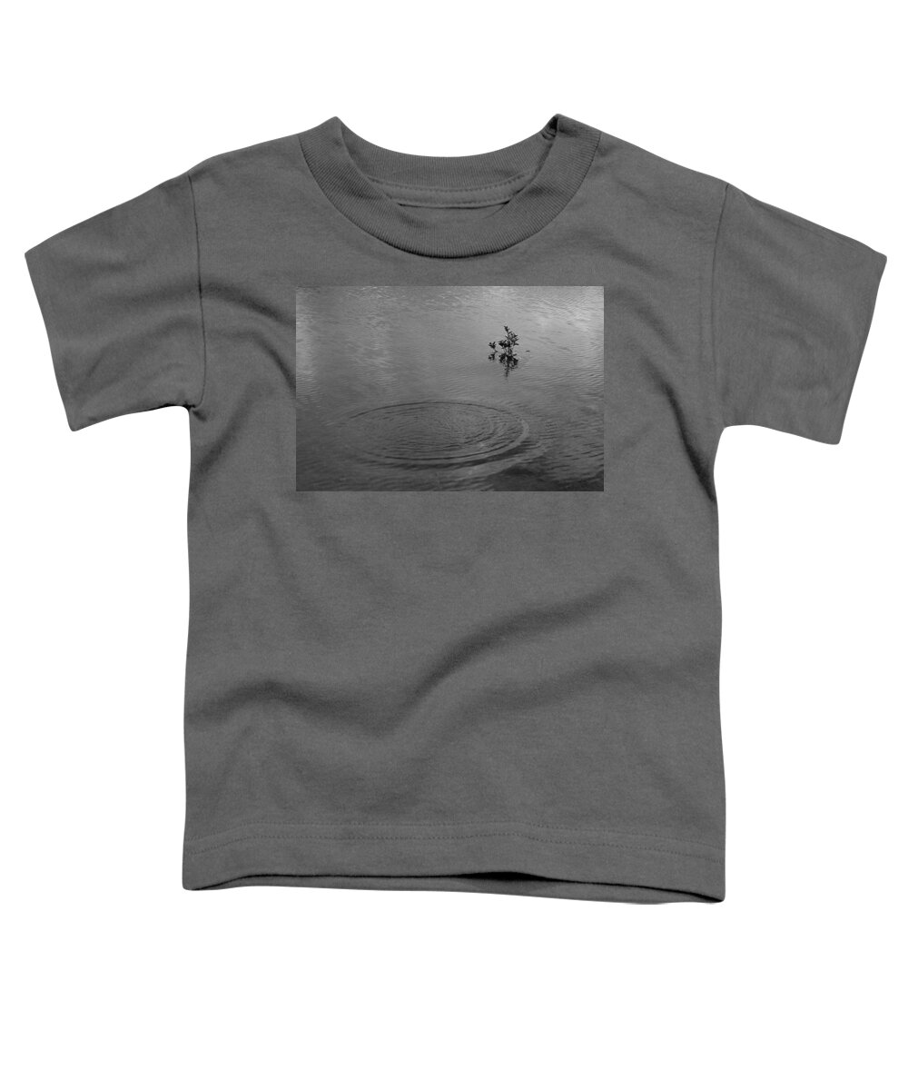 Ringlets Toddler T-Shirt featuring the photograph SKC 3991 I Shall Embrace You Now by Sunil Kapadia