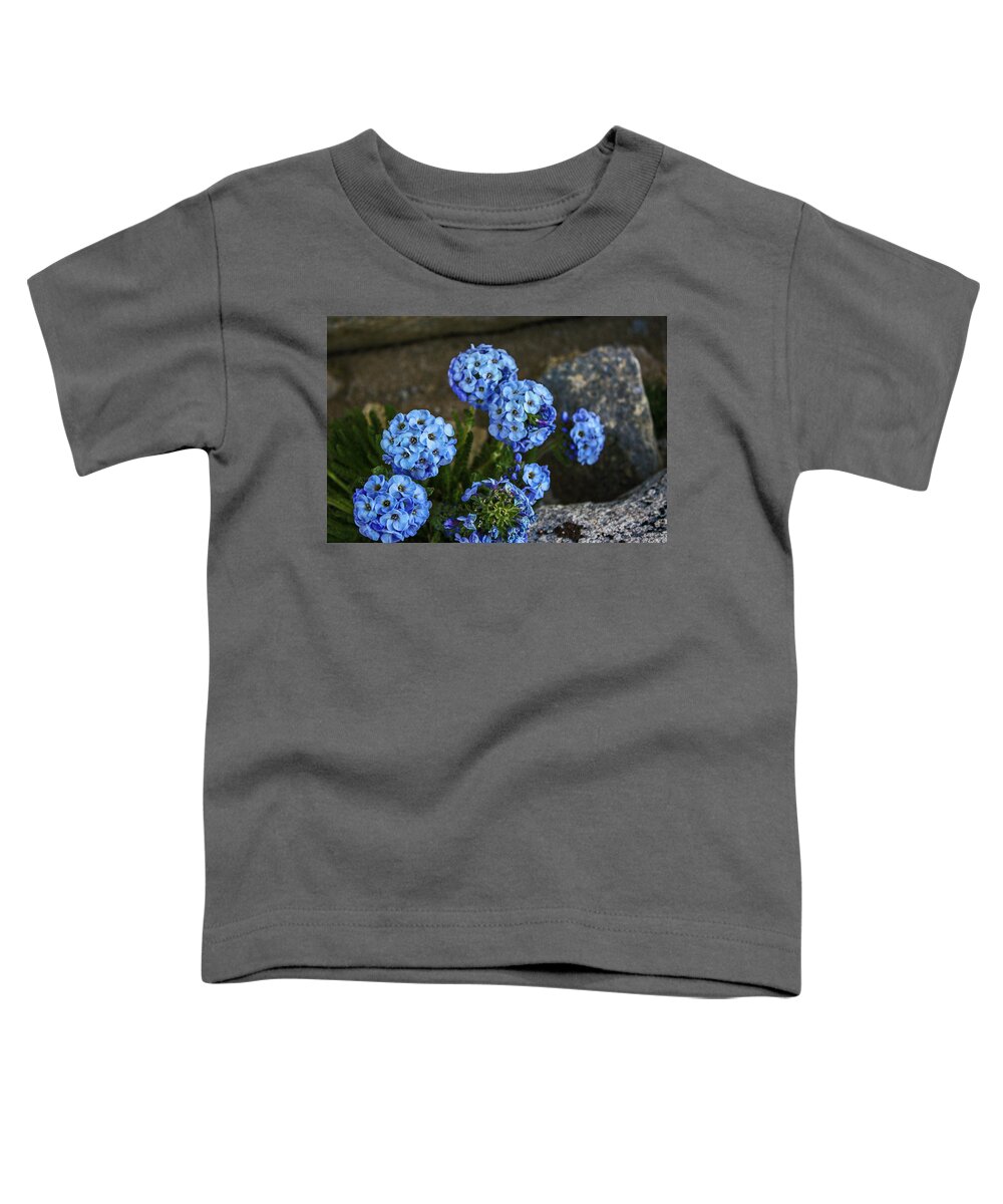 Mountain Flora Toddler T-Shirt featuring the photograph Sky Pilot, How High Can You Fly by Doug Scrima