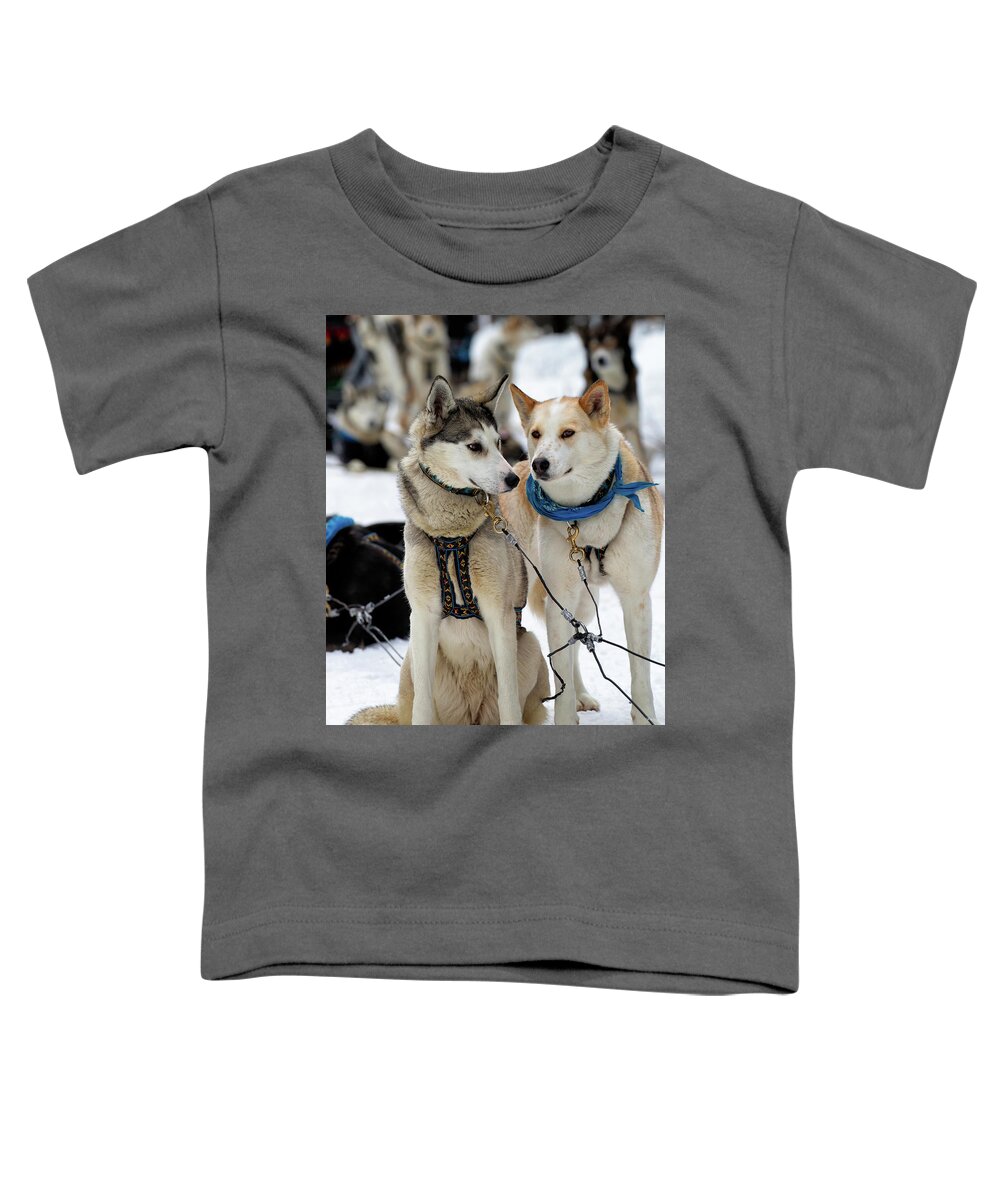 Dog Toddler T-Shirt featuring the photograph Sled Dogs by David Buhler