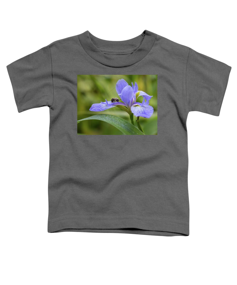 Bumble Bee Toddler T-Shirt featuring the photograph Sleeping on the Iris by Christy Cox