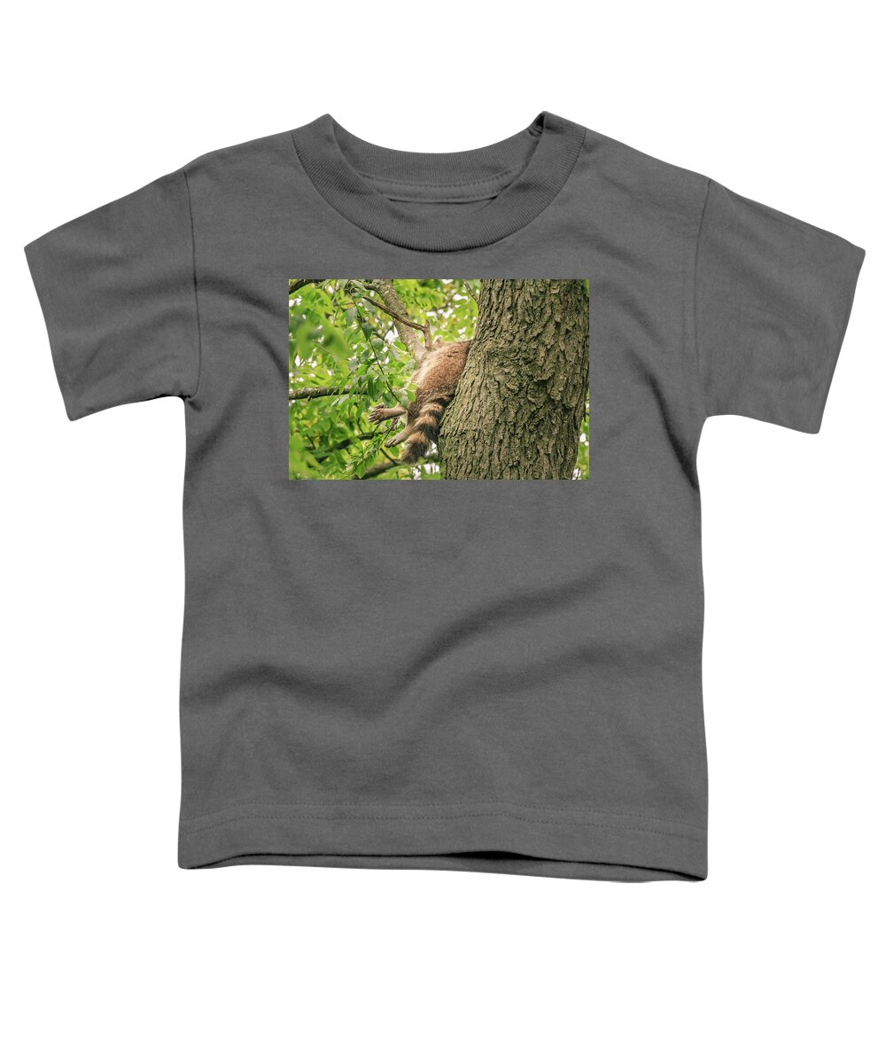 Danada Toddler T-Shirt featuring the photograph Sleeping Racoon by Joni Eskridge