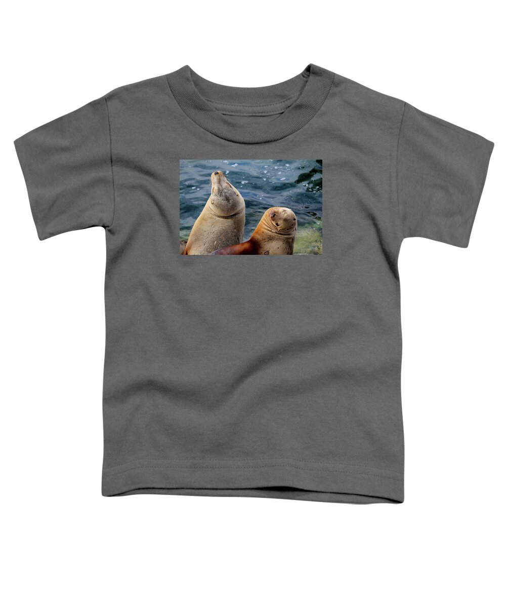 Sea Lions Toddler T-Shirt featuring the photograph Sleeping Sea Lions by Art Block Collections