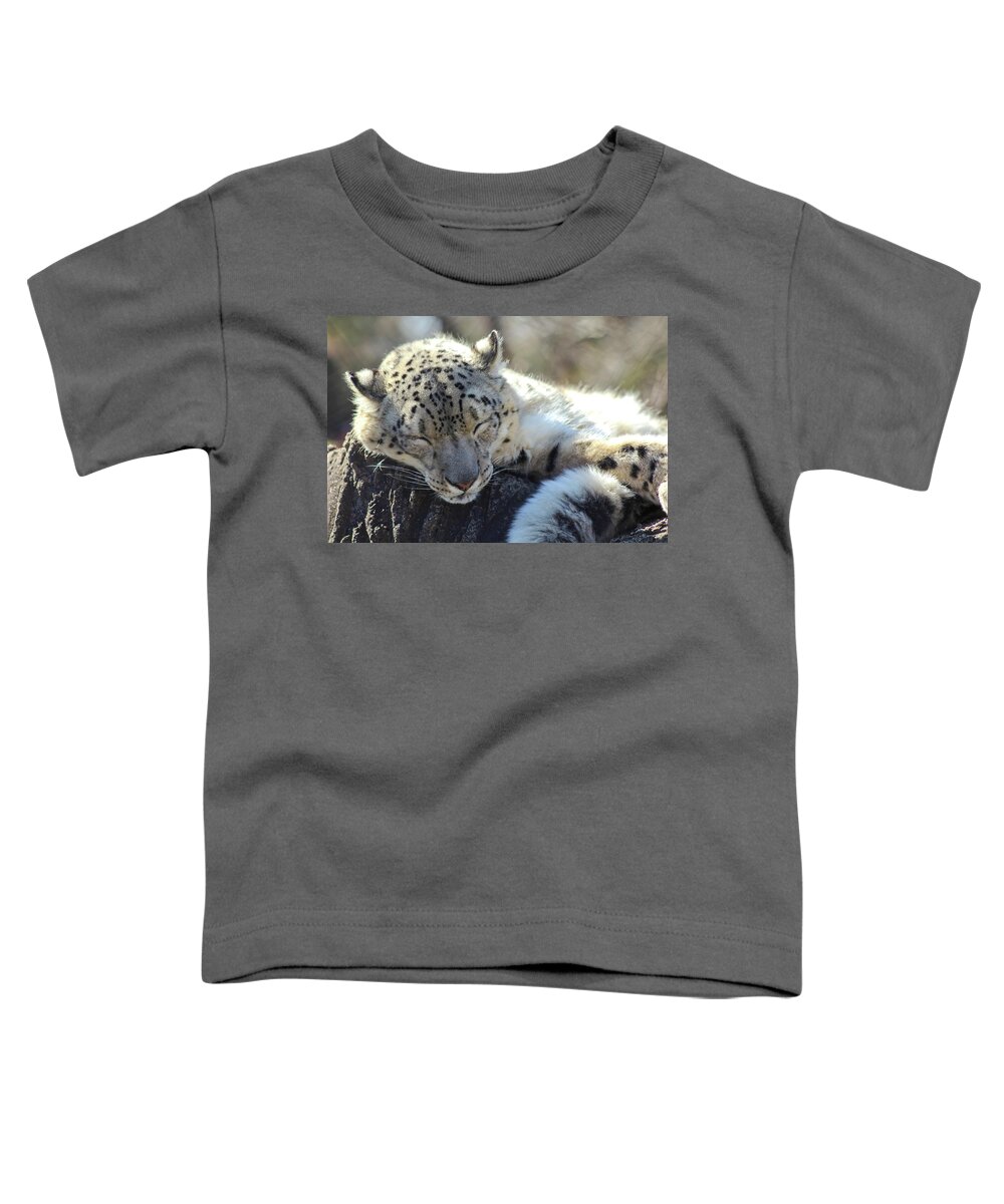 Snow Leopard Toddler T-Shirt featuring the photograph Sleeping Snow Leopard by Holly Ross