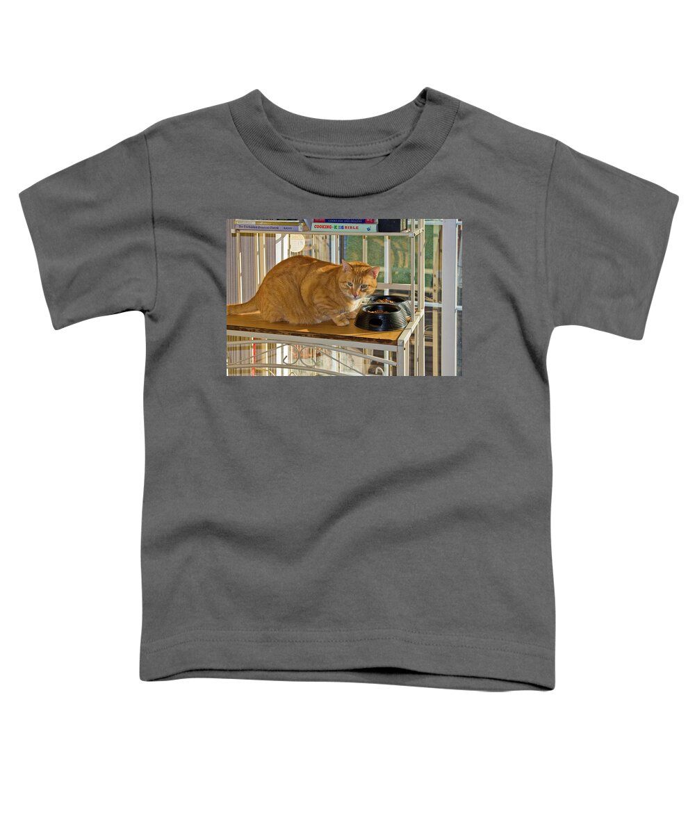 Fat Cat At Food Bowls Toddler T-Shirt featuring the photograph Slim by Sally Weigand