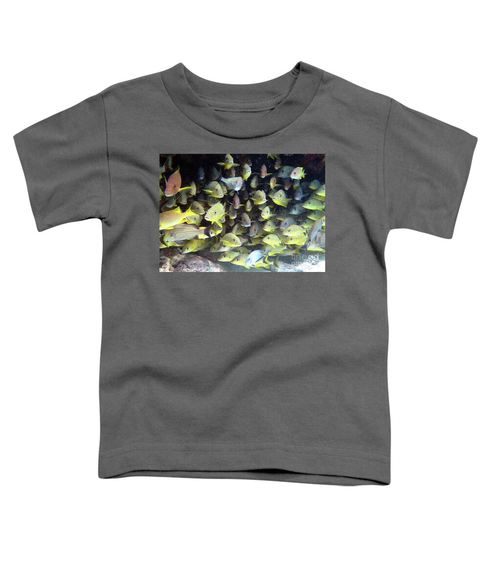 Underwater Toddler T-Shirt featuring the photograph Snapper Ledge by Daryl Duda