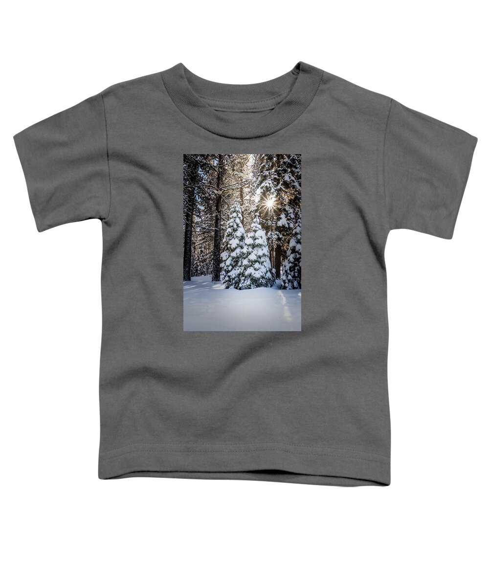 new Fallen Snow Toddler T-Shirt featuring the photograph Snow on Spooner Summit by Janis Knight