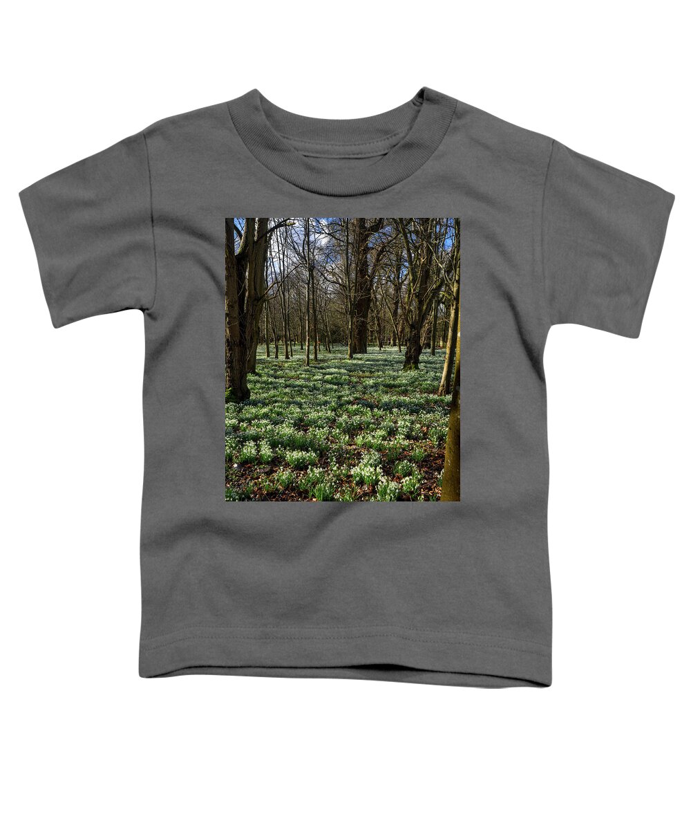 Welford Toddler T-Shirt featuring the photograph Snowdrop Carpet by Mark Llewellyn