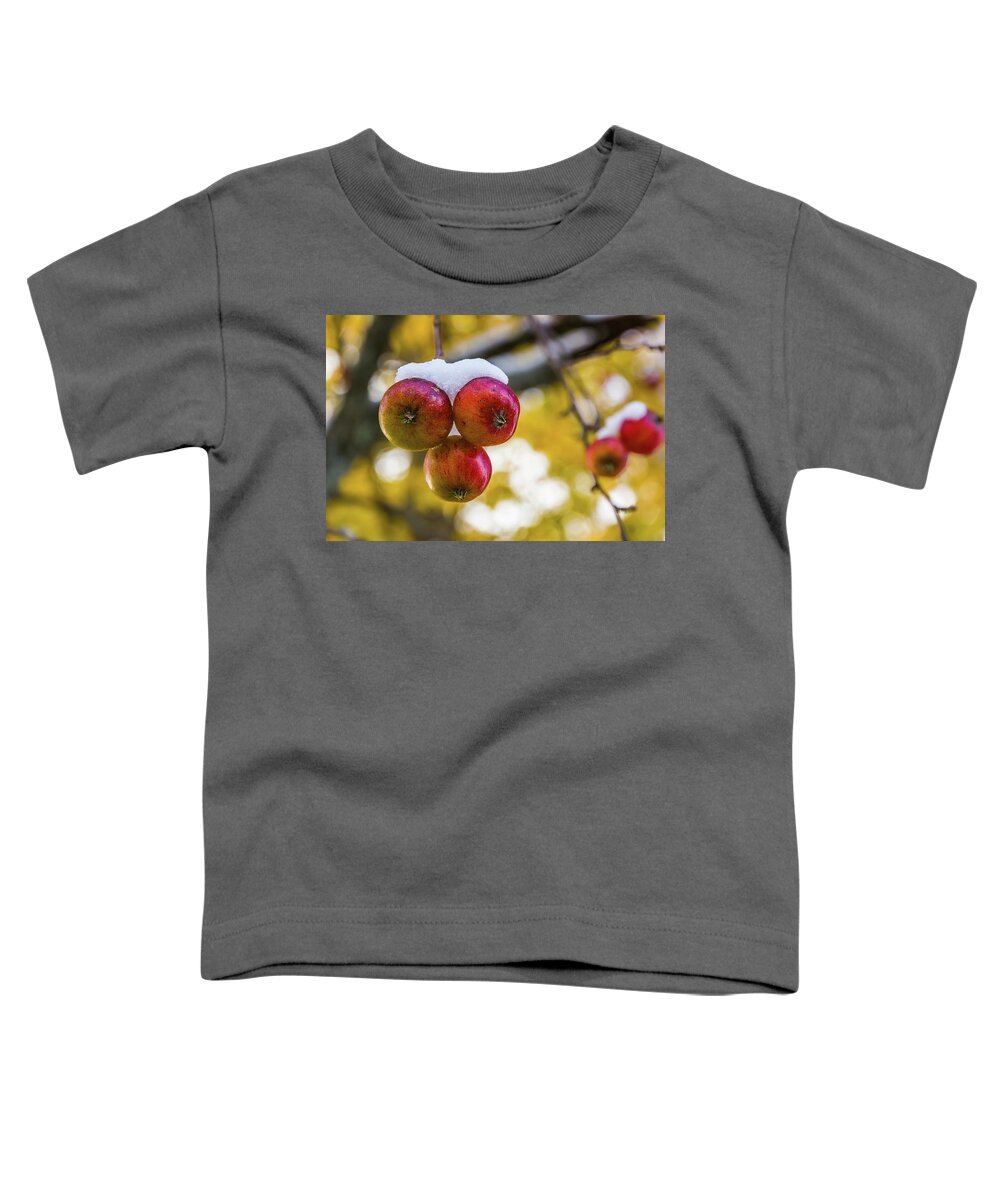 Apples Toddler T-Shirt featuring the photograph Snowy Apples by Tim Kirchoff