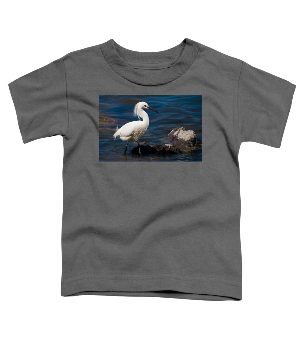 Snowy Egret Toddler T-Shirt featuring the photograph Snowy Egret fishing #1 by Mindy Musick King