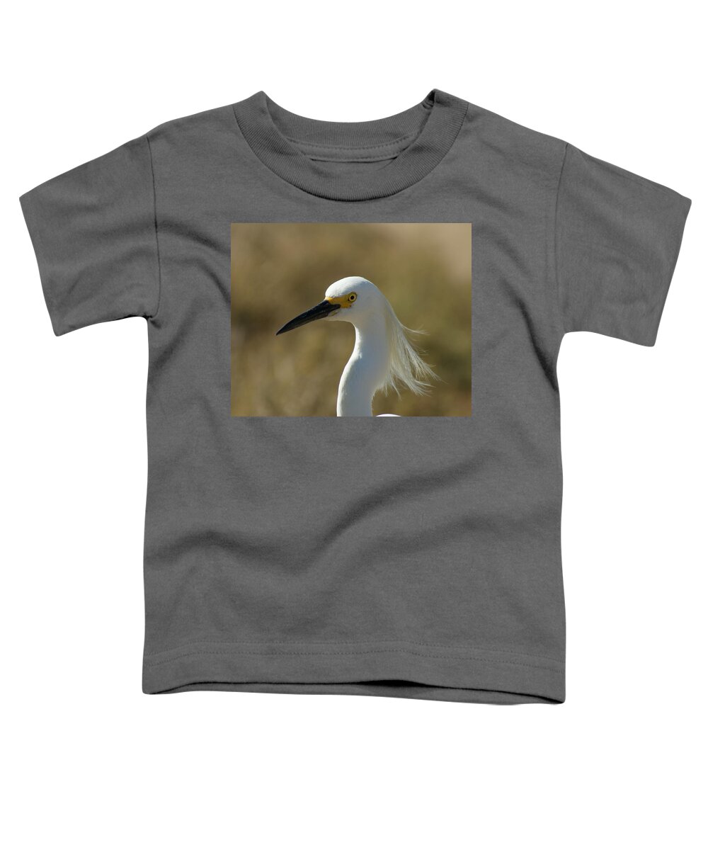 Birds Toddler T-Shirt featuring the photograph Snowy Egret Profile 1 by Ernest Echols