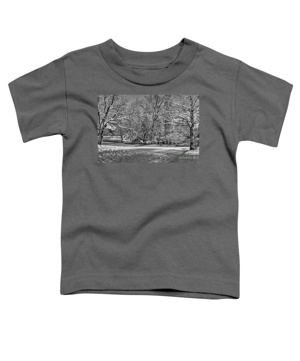 Landscape.winter Toddler T-Shirt featuring the photograph Snowy mono island by Stephen Melia