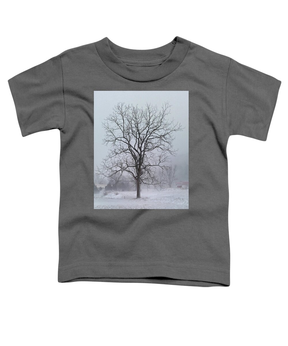Winter Toddler T-Shirt featuring the photograph Snowy Walnut by Denise Romano