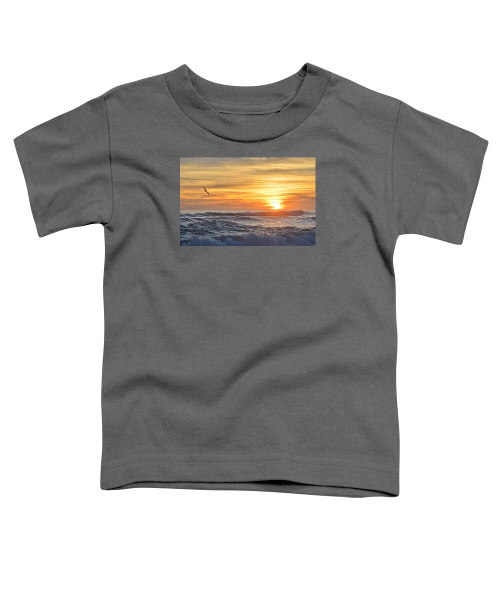 Obx Sunrise Toddler T-Shirt featuring the photograph Soaring High by Barbara Ann Bell