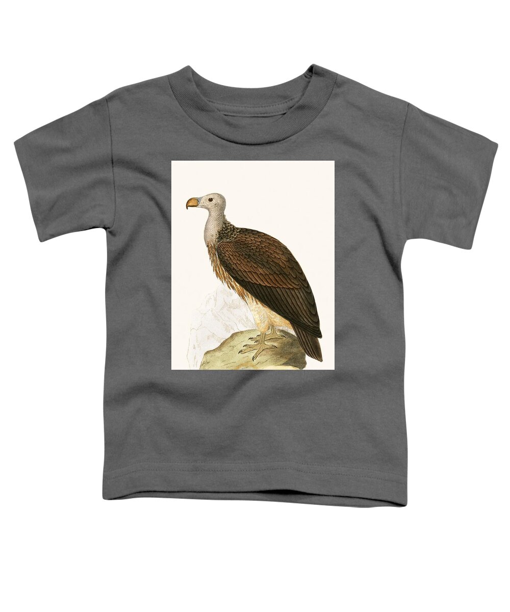 Vulture Toddler T-Shirt featuring the painting Sociable Vulture by English School