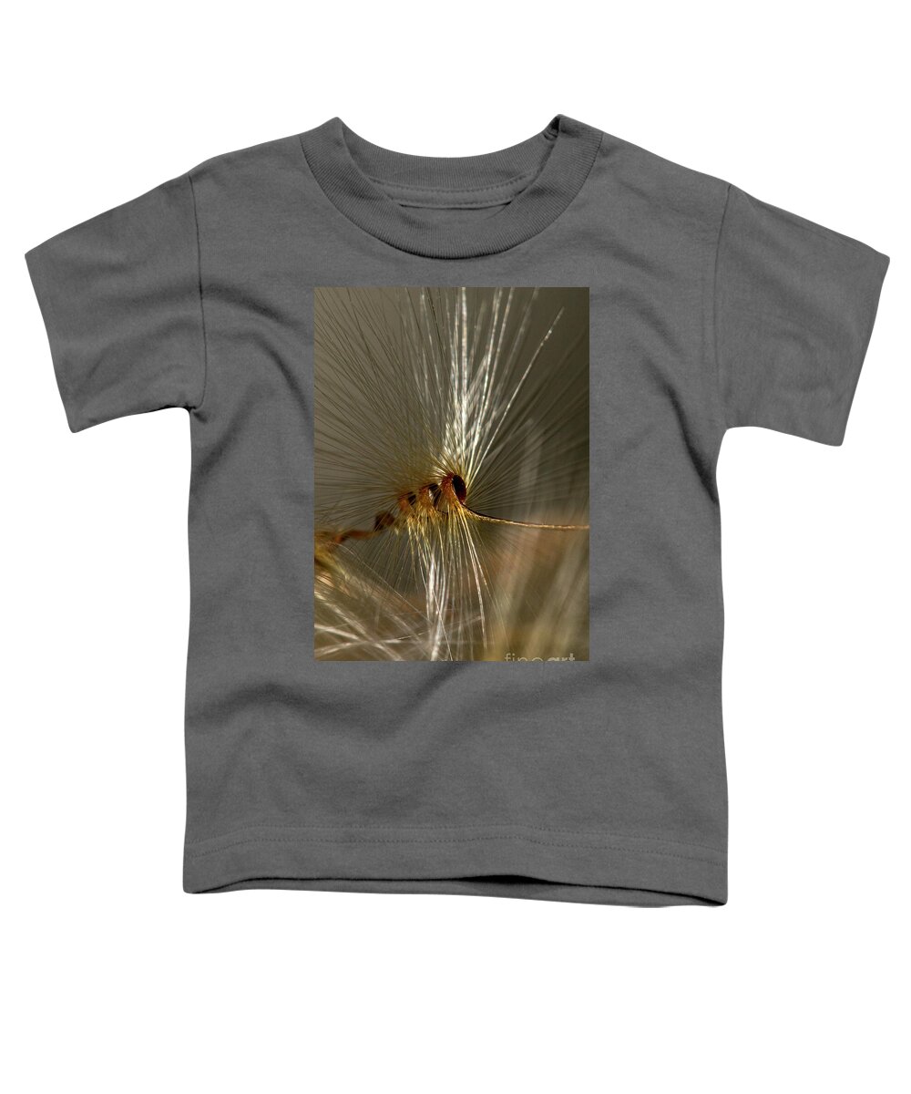 Macro Toddler T-Shirt featuring the photograph Sock Drill by Shawn Jeffries