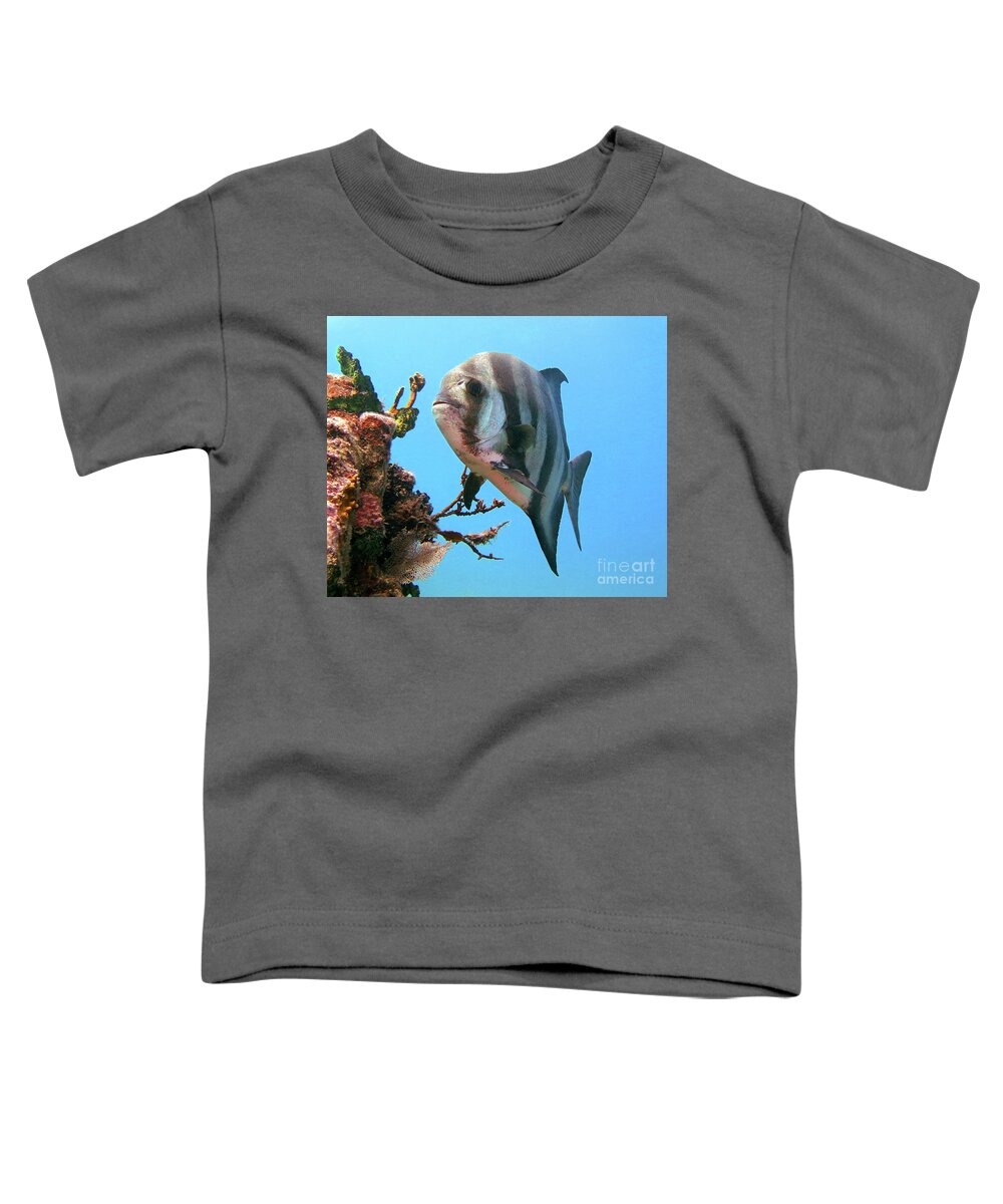 Underwater Toddler T-Shirt featuring the photograph Solitary Atlantic Spadefish by Daryl Duda