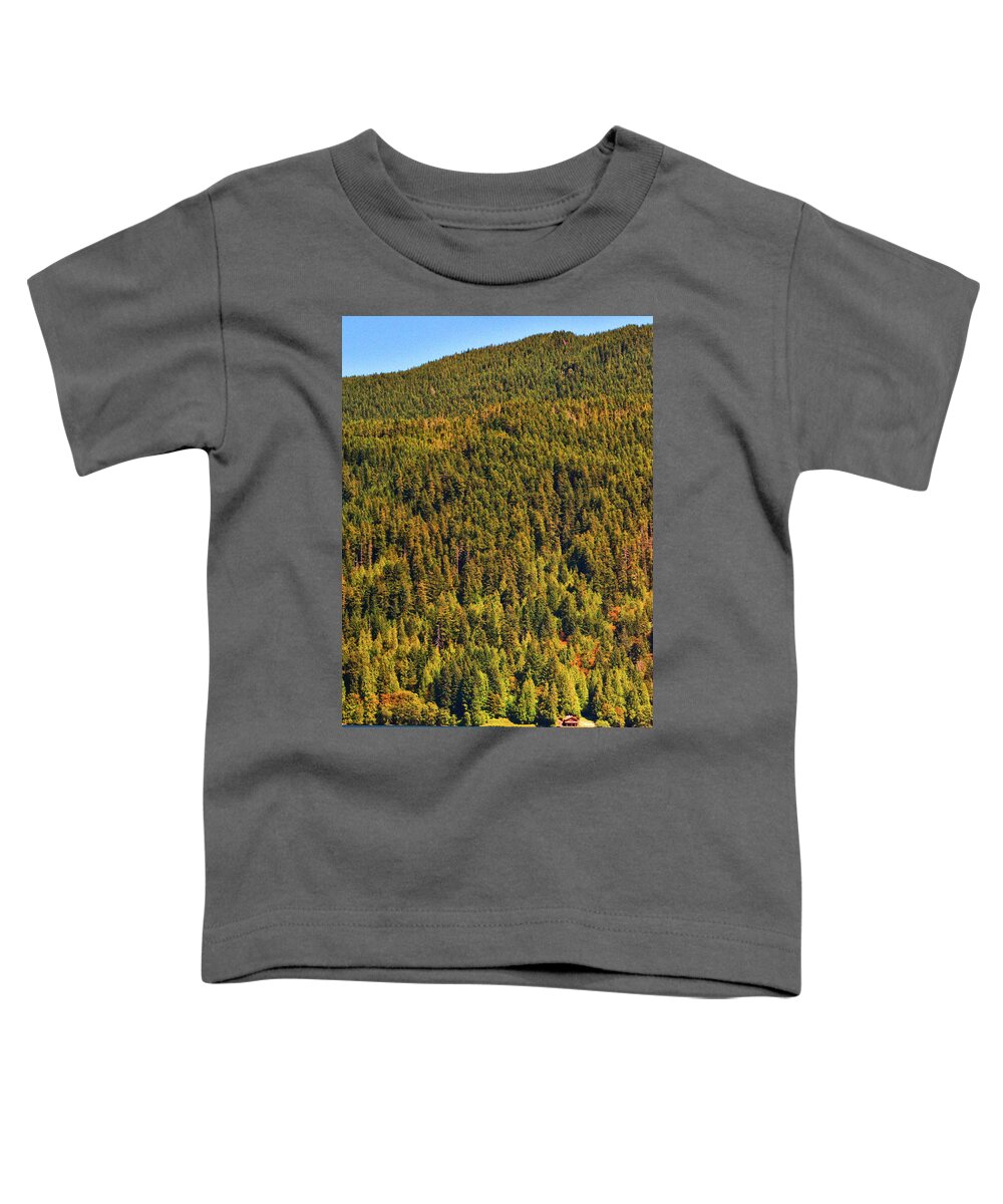 House Toddler T-Shirt featuring the photograph Solitude 002 by George Bostian