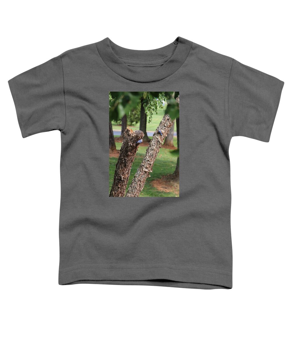 Southern Blue Birds Toddler T-Shirt featuring the photograph Southern Blue Birds by Debra   Vatalaro