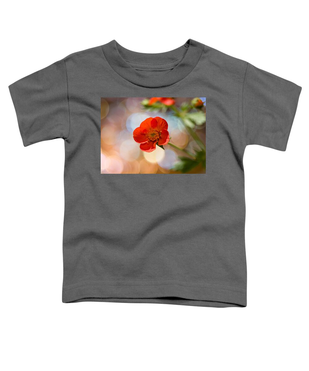 Flowers Toddler T-Shirt featuring the photograph Sparkle Plenty Cookie by Dorothy Lee