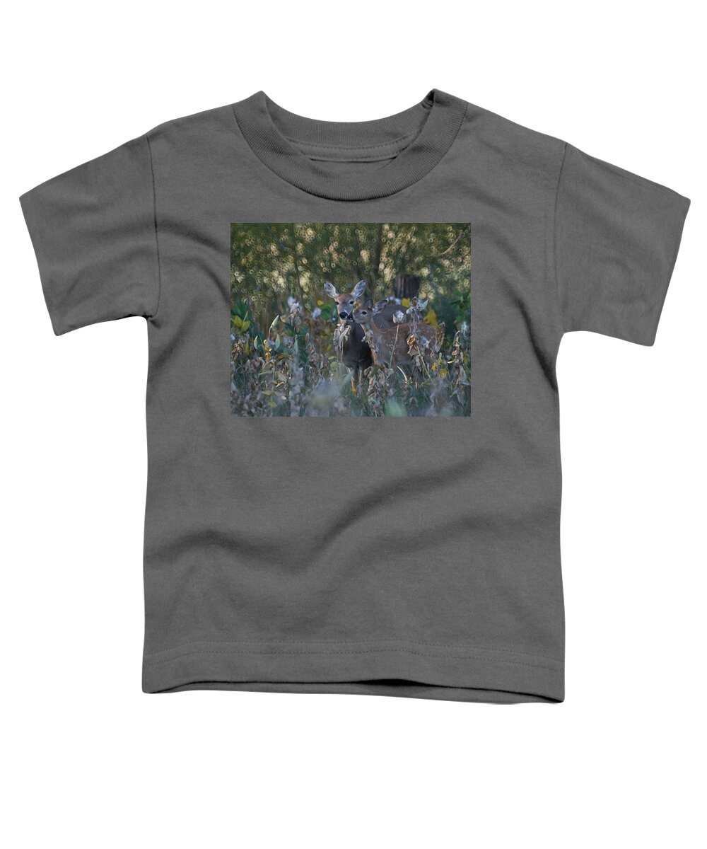 Animals Toddler T-Shirt featuring the photograph Special Moment by Ernest Echols