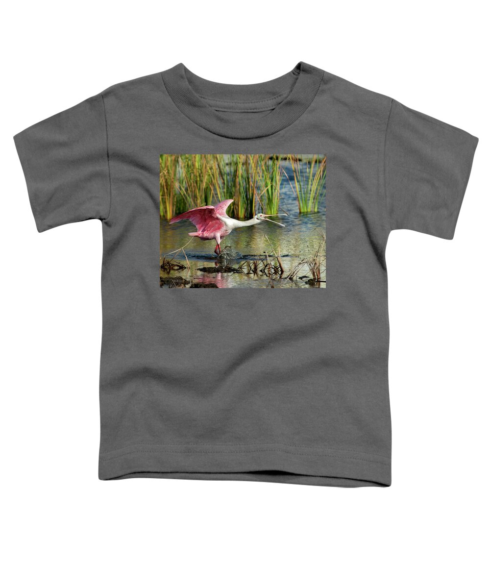 Spoonbills Toddler T-Shirt featuring the photograph Spoonbill squabble by Judi Dressler