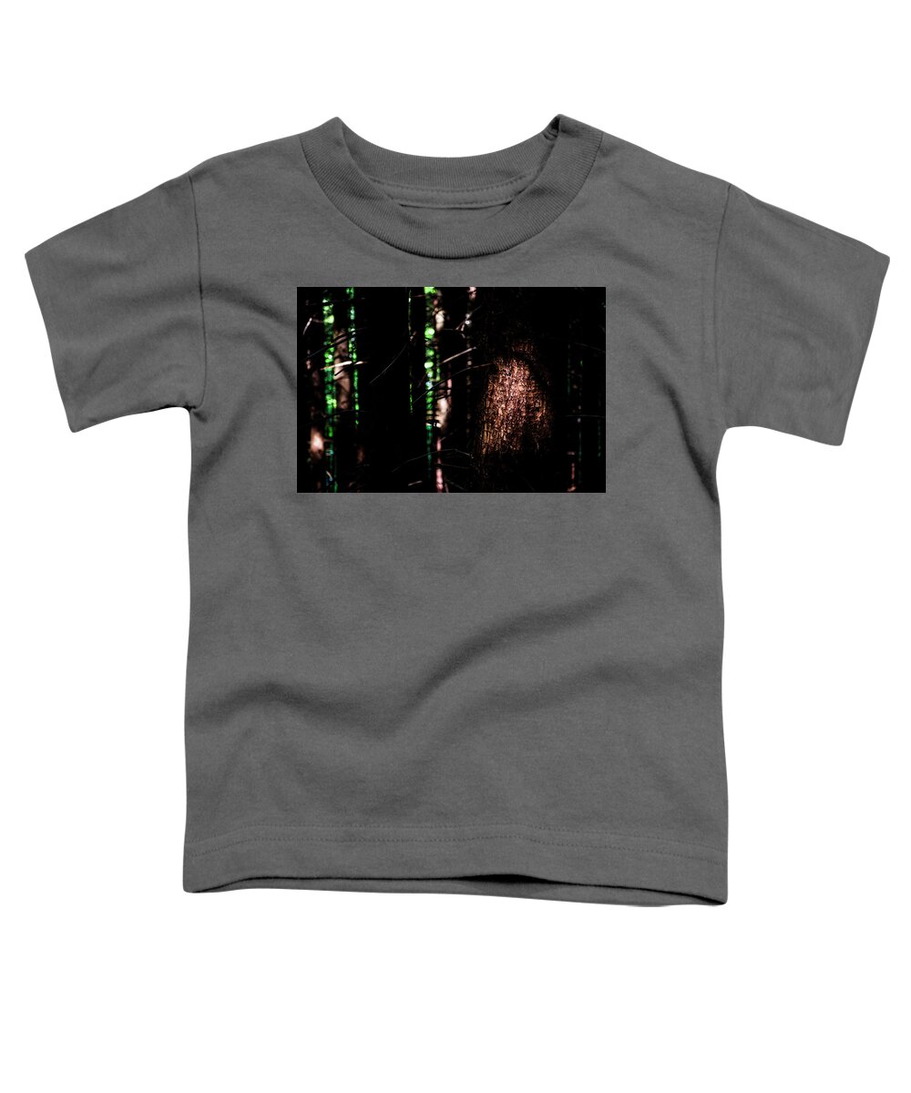 Wilderness Toddler T-Shirt featuring the photograph Spotlight in the Woods by Pelo Blanco Photo
