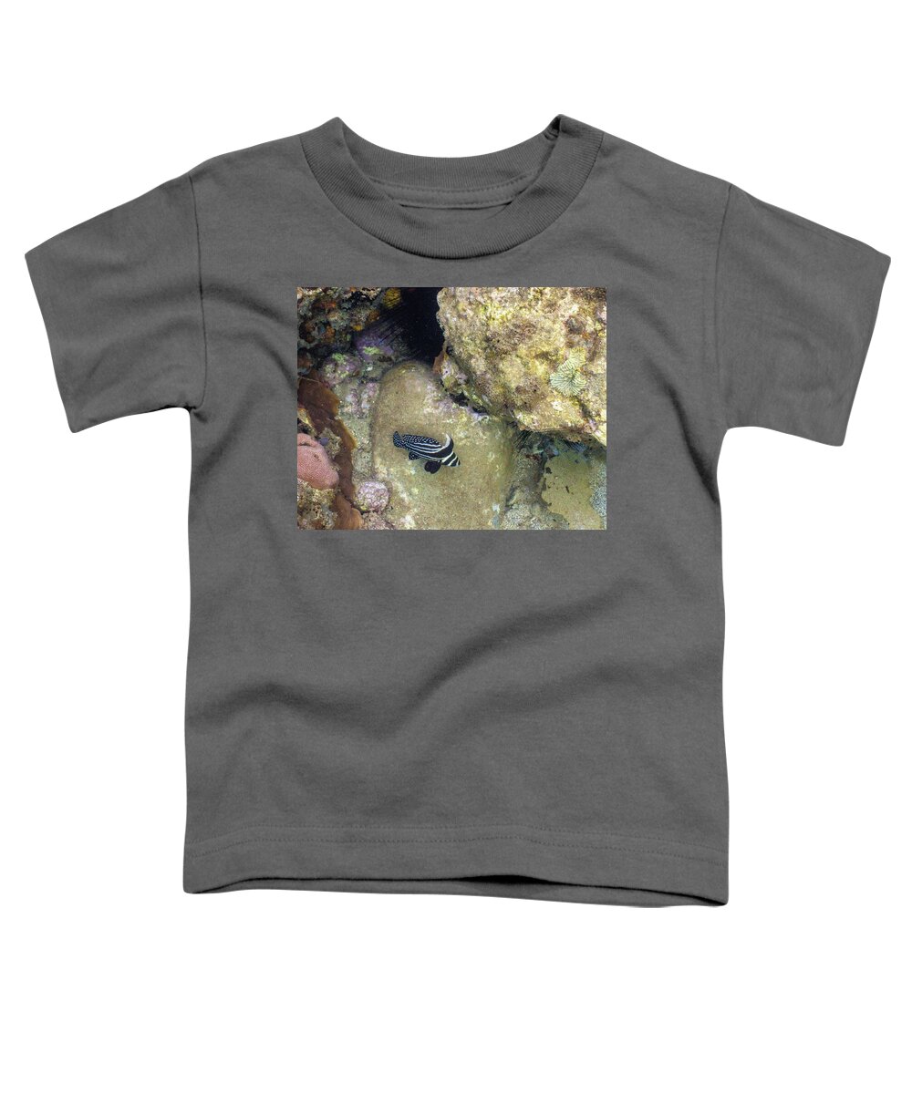 Ocean Toddler T-Shirt featuring the photograph Spots and Stripes by Lynne Browne