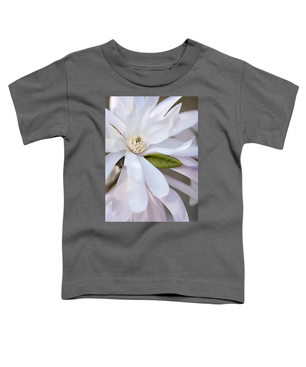 Magnolia Blossom Toddler T-Shirt featuring the photograph Spring Glory by Jill Love
