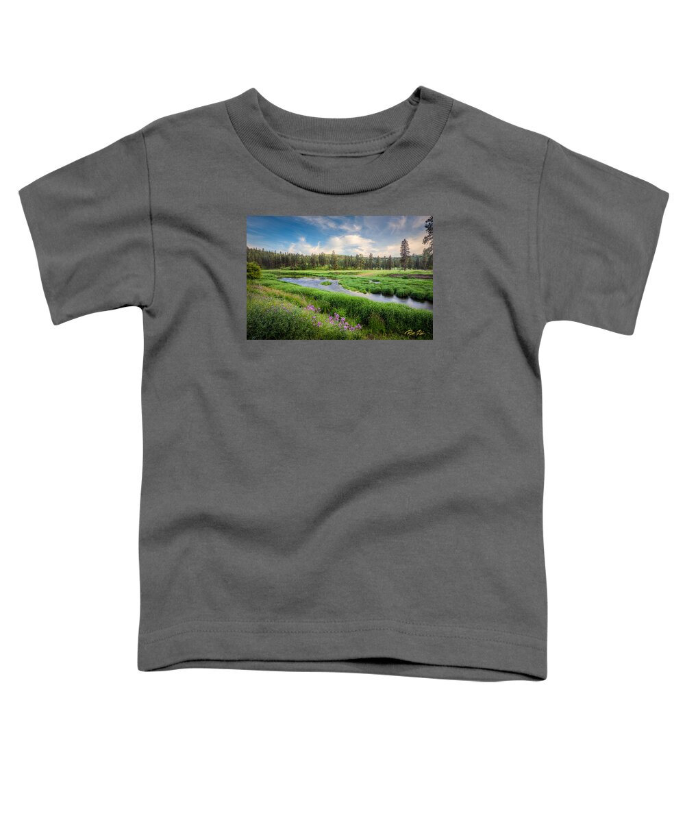 Washington Toddler T-Shirt featuring the photograph Spring River Valley by Rikk Flohr