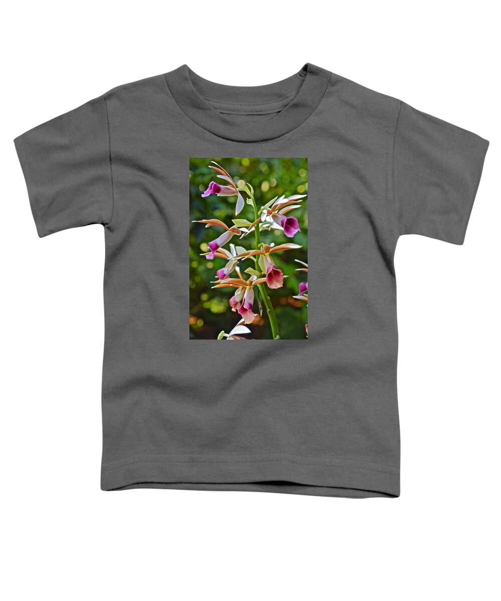 Orchid Toddler T-Shirt featuring the photograph Spring Show 15 Nun's Orchid 1 by Janis Senungetuk