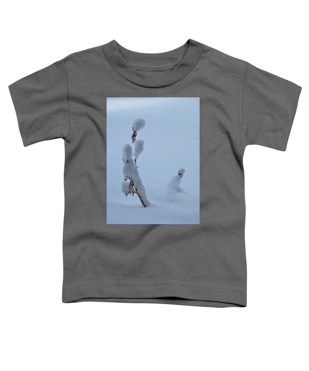 Landscape Toddler T-Shirt featuring the photograph Spring Snow by Ron Cline
