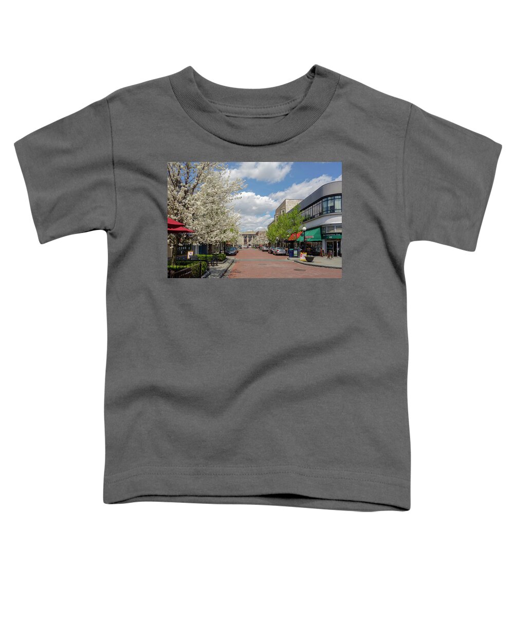 Marion Street Toddler T-Shirt featuring the photograph Springtime on Marion Street. by Todd Bannor