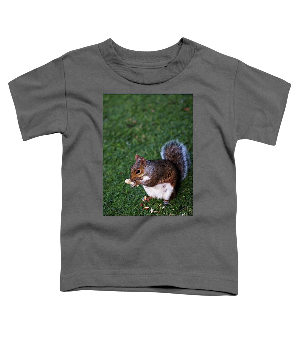 Squirrel Toddler T-Shirt featuring the photograph Squirrel eating by Agusti Pardo Rossello