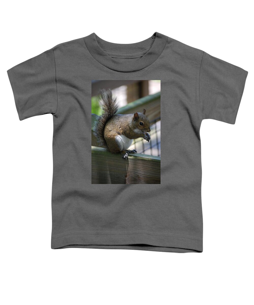 Squirrel Toddler T-Shirt featuring the photograph Squirrel II by Robert Meanor