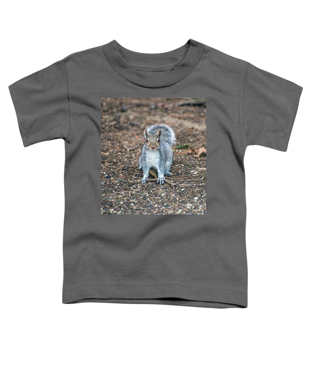 Animals Toddler T-Shirt featuring the photograph Squriel Full Face by Paul Ross