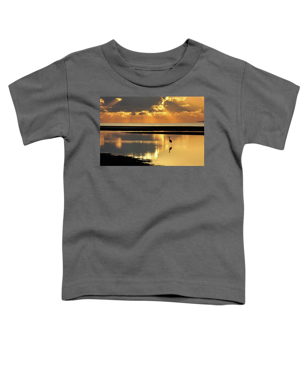 Sunrise Toddler T-Shirt featuring the photograph Start of Day by Robert Charity