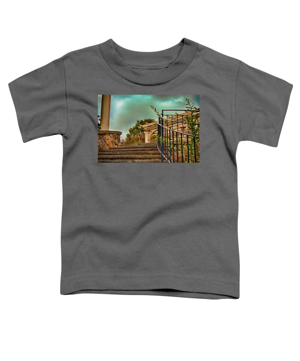 Architecture Toddler T-Shirt featuring the photograph Steps to Jupiter by Mike Smale