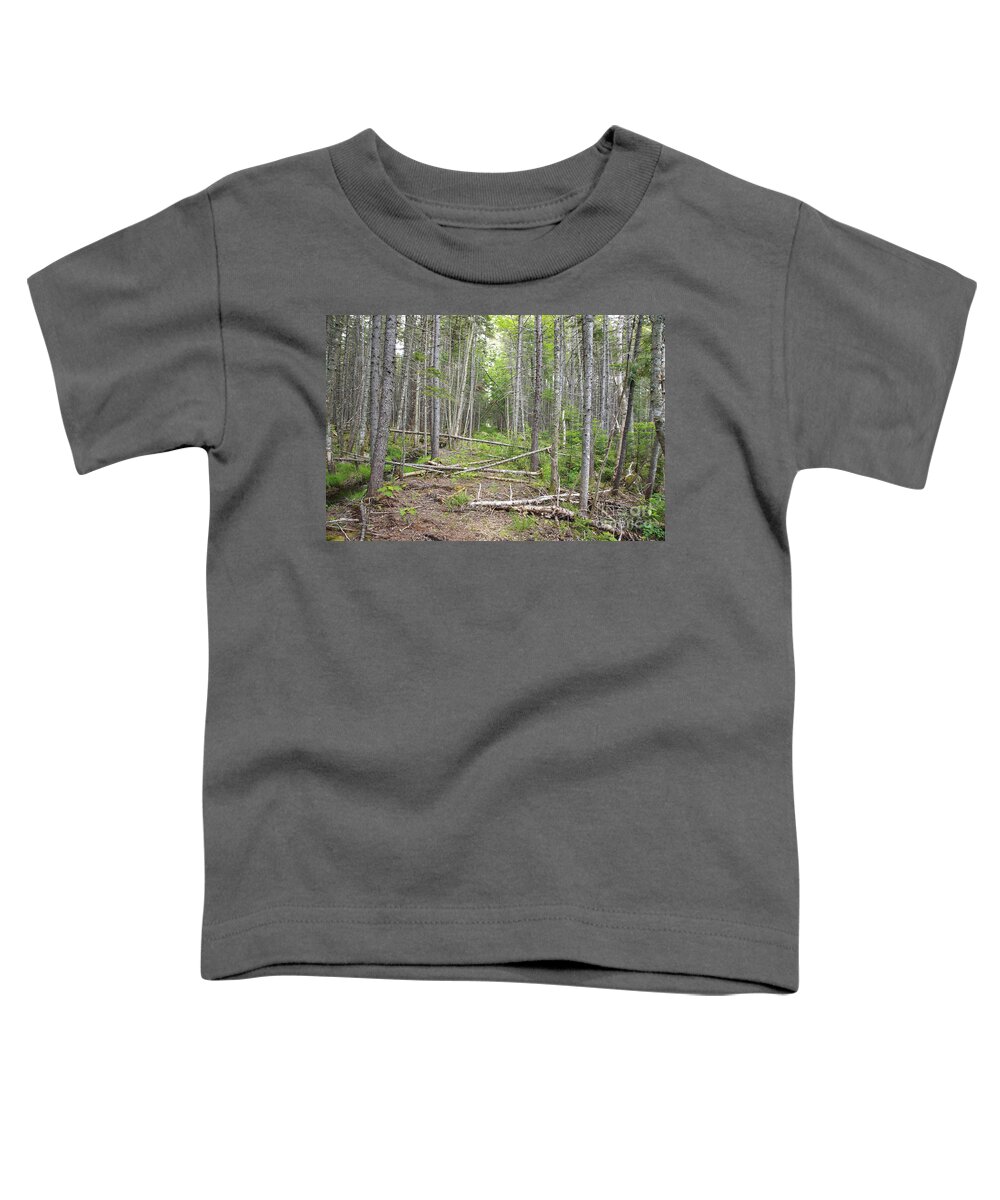 White Mountain National Forest Toddler T-Shirt featuring the photograph Stillwater Junction - White Mountains New Hampshire by Erin Paul Donovan