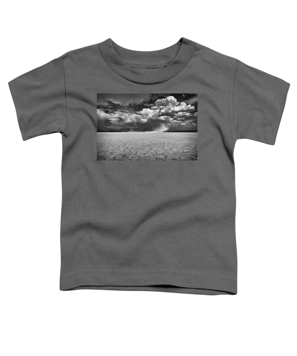 Alvord Desert Toddler T-Shirt featuring the photograph Stormy Alvord by Steven Clark