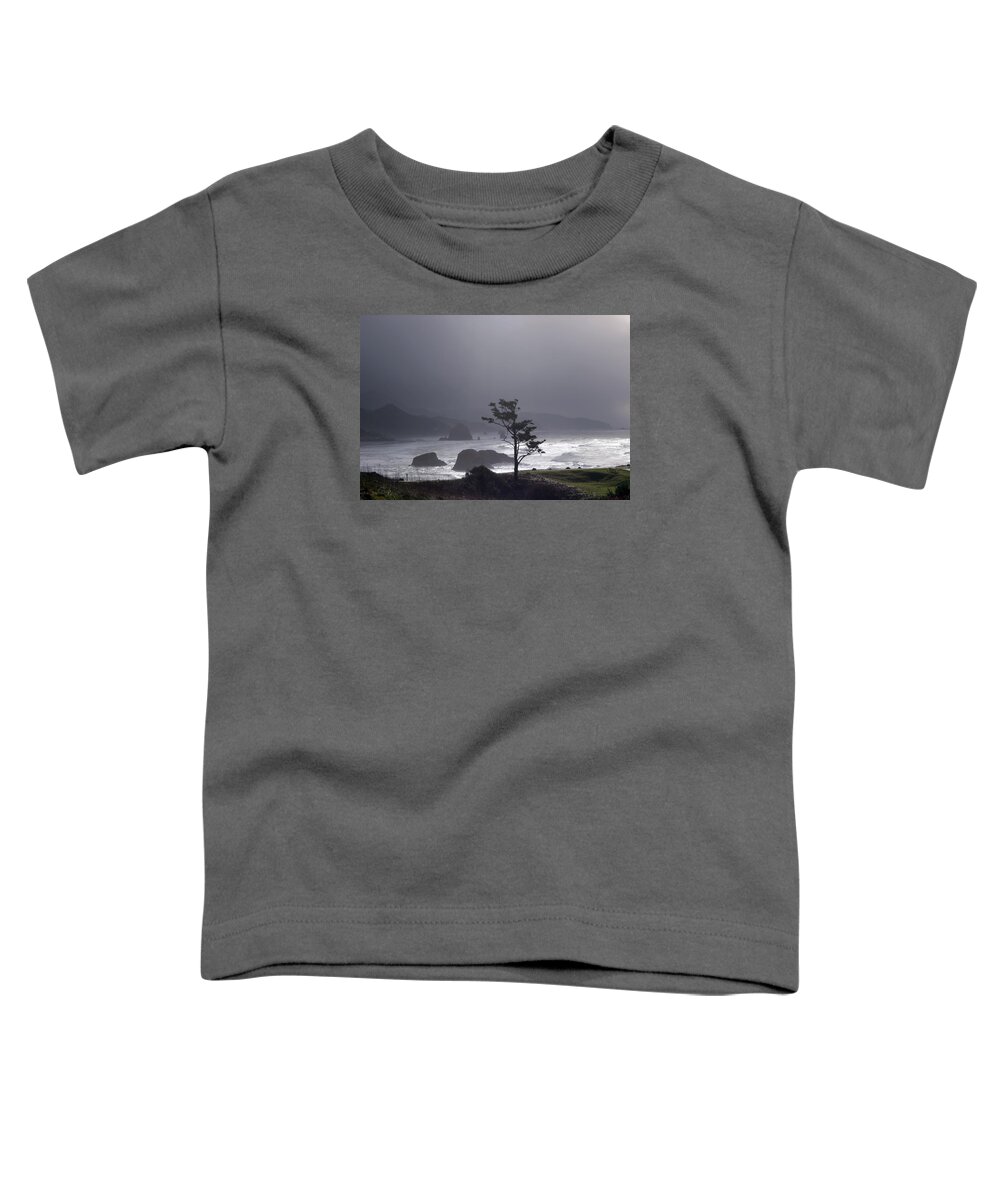 Pacific Ocean Toddler T-Shirt featuring the photograph Stormy Beach by Cathy Anderson
