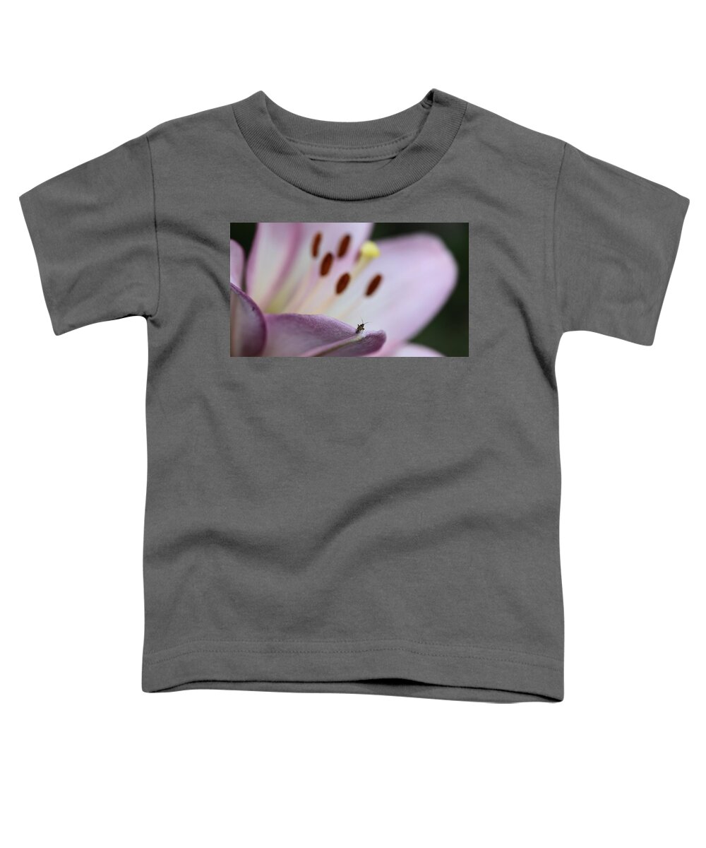 Lily Insect Flower Stamen White Purple On-dark On-black Toddler T-Shirt featuring the photograph Stranger in a Strange Land by Ian Sanders